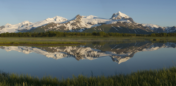 Tom Walker Photography